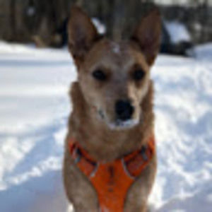 Meet your Posher, Audrey